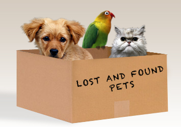 Lost and found pets image